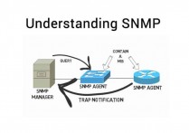 什麼是代理程式 （SNMP）？概念、運作方式