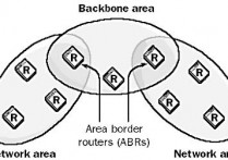 什麼是開放最短路徑優先（OSPF）協定？定義、運作方式
